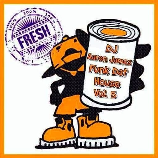 DJ Aaron James - Funk Dat House Vol 5