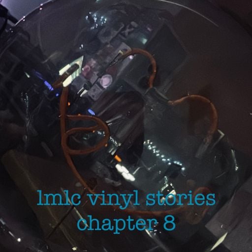 lmlc vinyl stories  chapter 8 - stylezR2fade