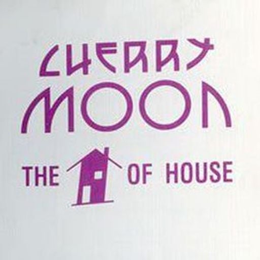 TeeCee & Mike Thompson at Cherry Moon (Lokeren - Belgium) - 4 August 1992
