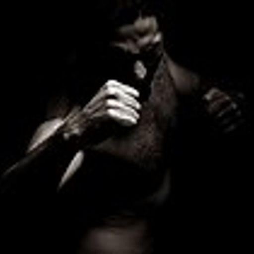 Shadow Boxer (Fusion)