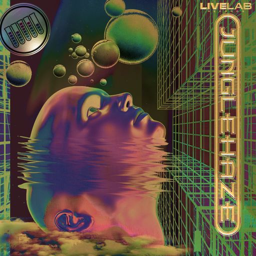 JUNGLEHAZE 002 DJ STEMZER LIVELAB RECORDS