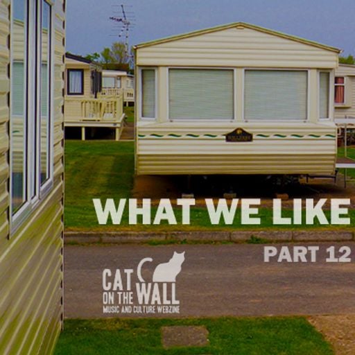 What We Like Part 12