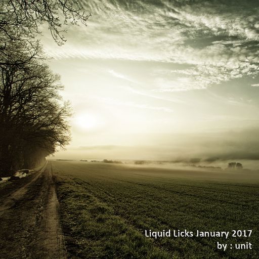Liquid Licks January 2017