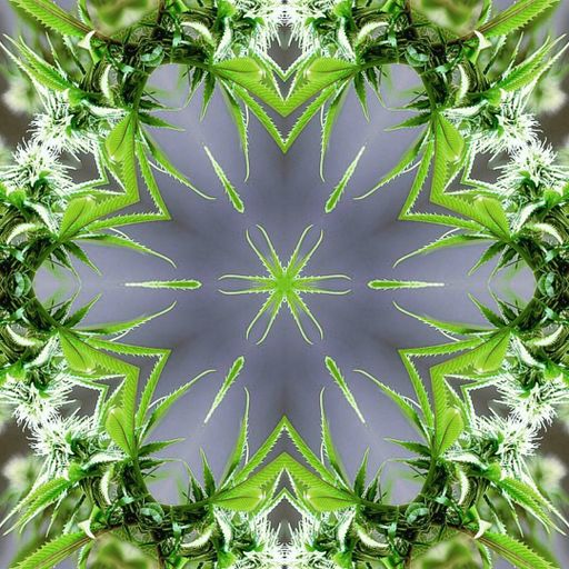 All Ganja Massive III