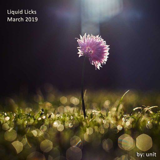 Liquid Licks March 2019