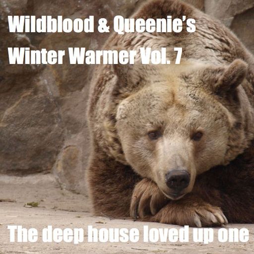Wildblood + Queenie's Winter Warmer Vol.7 - The deep house loved up one