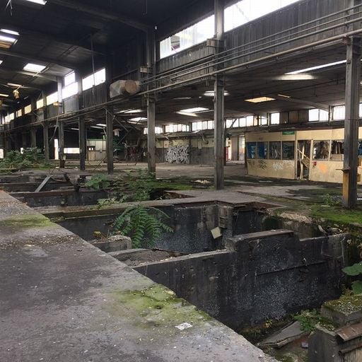 Otologic w/ HLM38 - 12th January 2026