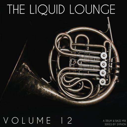 The Liquid Lounge : Volume 12