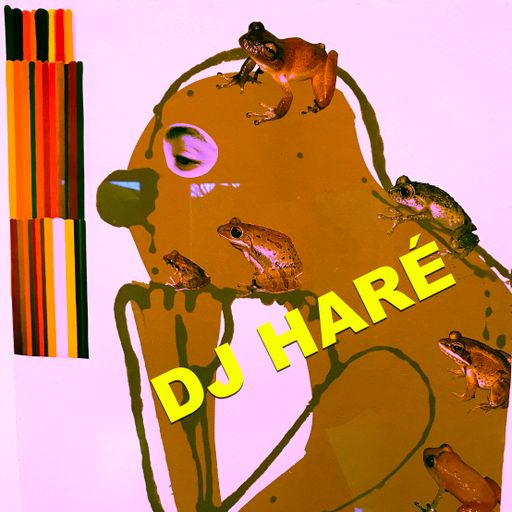 DJ HARÉ .A LITTLE RAY OF SOUL SUNSHINE.