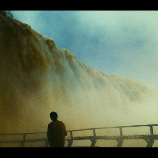 Lechuga Zafiro - 4th December 2025