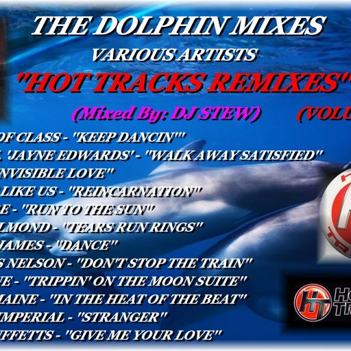 THE DOLPHIN MIXES - VARIOUS ARTISTS - ''HOT TRACKS REMIXES'' (VOLUME 38)