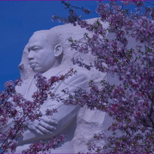 Martin Luther King,  Jr. Day 2020 - Musics of the World 19/01/20 WXUT (Mix)