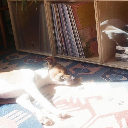 Pina Dreams of Brazil w/ Rômulo Moraes - 16th December 2025