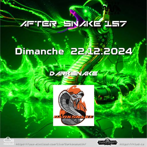 Darksnake Special Techno "After Snake 157" Radio TwoDragons 22.12.2024