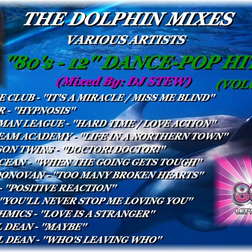 THE DOLPHIN MIXES - VARIOUS ARTISTS - ''80's - 12'' DANCE-POP HITS'' (VOLUME 12)