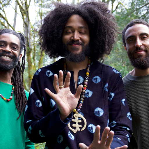 MUSIC FOR A HEALING EARTH W/ THE COSMIC TONES RESEARCH TRIO - 8th April 2025