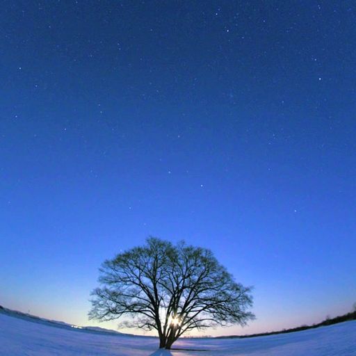 Winter Solstice