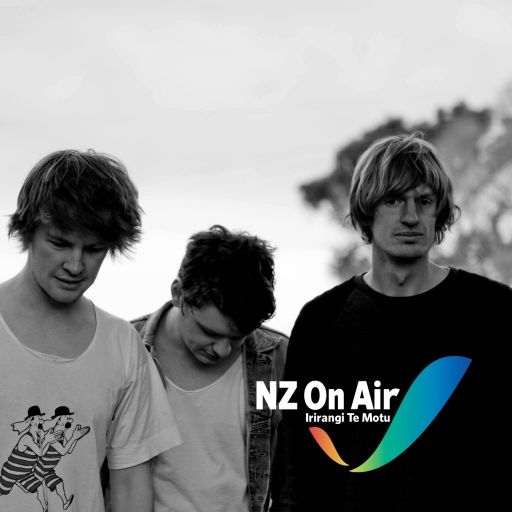 RECHARTED 21 The Transistors - Thanks to NZ on Air Music