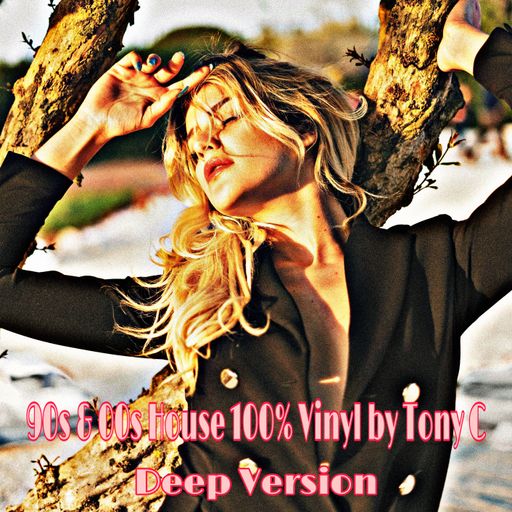 90s & 00s House 100% Vinyl Vol.34  24/11/24