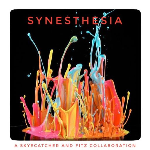 Synesthesia - A Skyecatcher & Fitz Collaboration