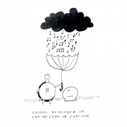 James McNew (YO LA TENGO) - 19th December 2025