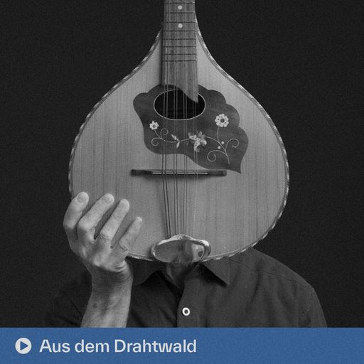 Aus dem Drahtwald (12.08.2025)