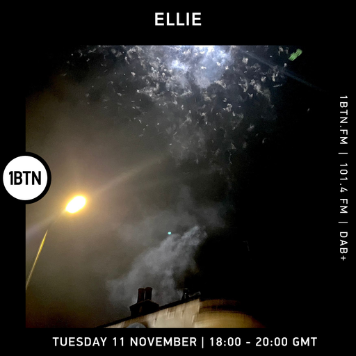 Ellie - 11.11.25