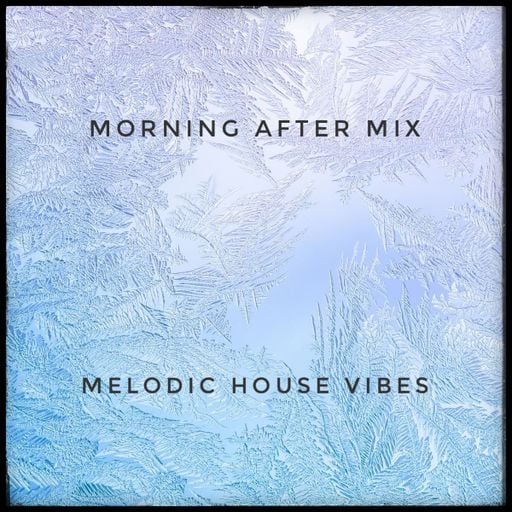 Morning After Mix Dec25 - Melodic House Vibes