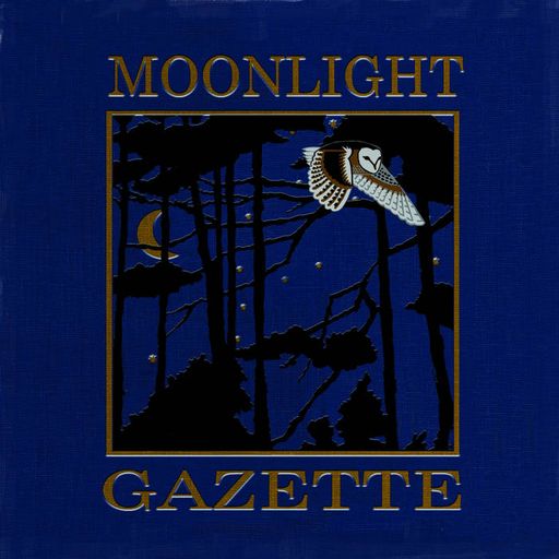 Off The Beaten Tracks 19 July 2021