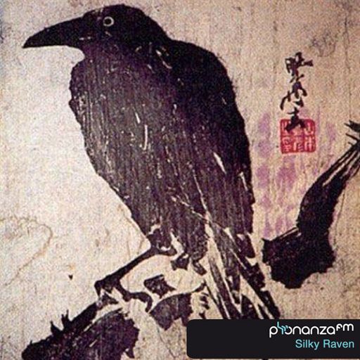 PhonanzaFM Dec 21st 2012 Silky Raven (Show Promo)