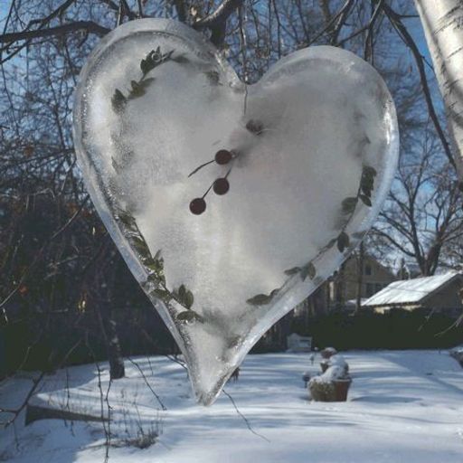 Liquid Mirror: I Found It in the Snow - 5th January 2026