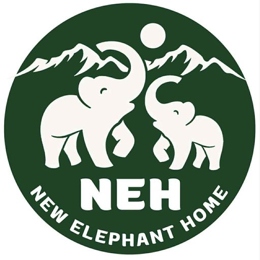 ถึงไม่ใช่วาสนา แต่ไปหาได้เสมอ BY:New Elephant Home