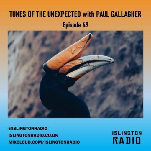 Tunes of the Unexpected with Paul Gallagher (11/11/2021)