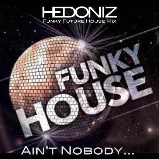Ain't nobody (Funky Soul Mini Mix).
