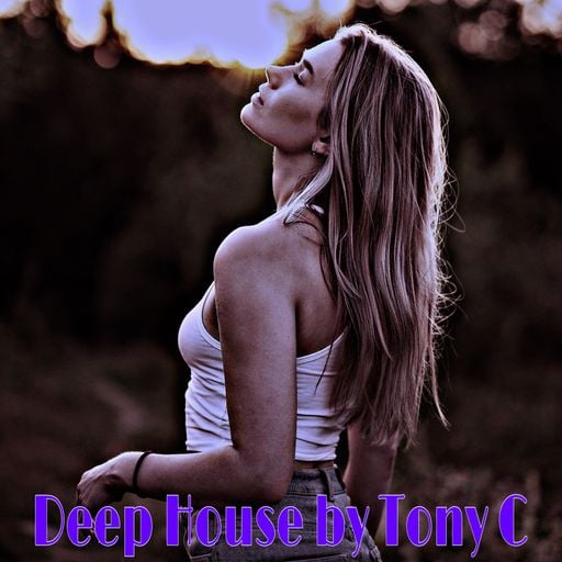 Deep House Vol.24  28/7/24