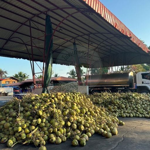 เต็มตั๋ง ตึงเปี๊ยะ