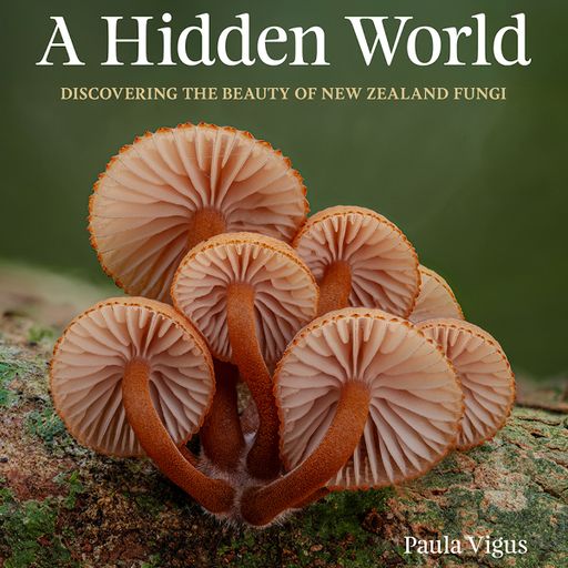 A Hidden World by Paula Vigas on The Breakfast Show - 09/10/25