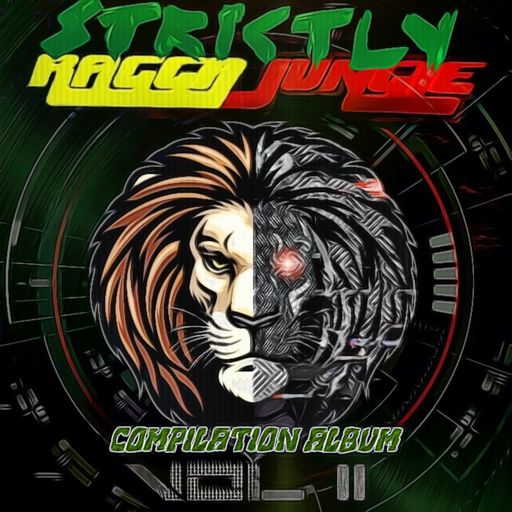 STRICTLY RAGGA JUNGLE COMPILATION ALBUM VOL 2
