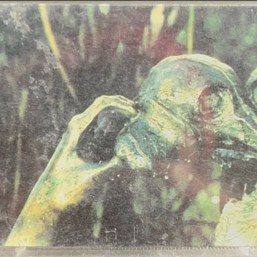 Pootang Audio Hole - Dr. Zhivago Removes His Appendix - Waaghals / 01-05-1995