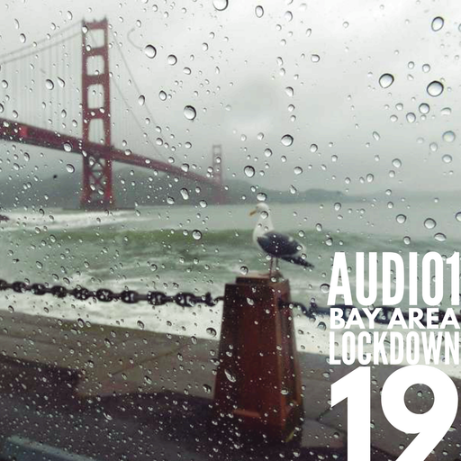 BAY AREA LOCKDOWN 19
