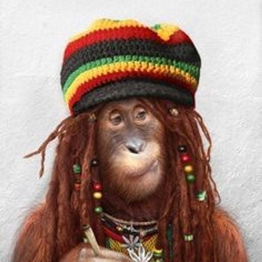 DJ Kidd B Presets: Les Reggae Mon