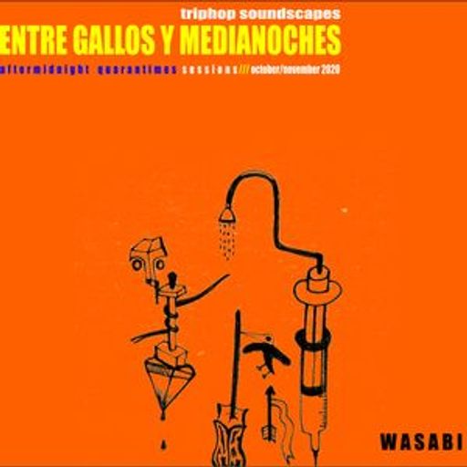 ENTRE GALLOS Y MEDIANOCHES/ Aftermidnight Quarantimes Sessions / triphop soundscapes/ Vol. 3