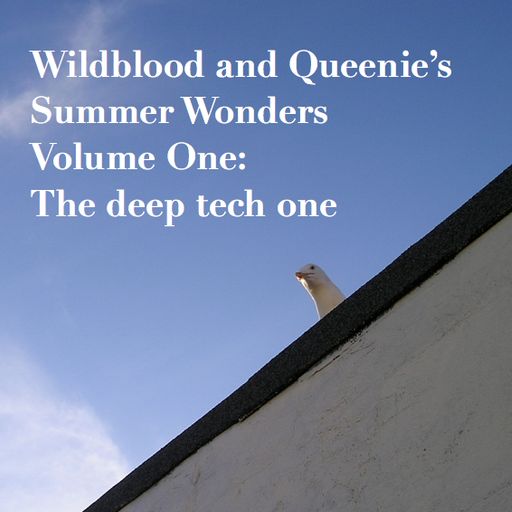 Wildblood and Queenies Summer Wonder Vol.1 The Tech house one