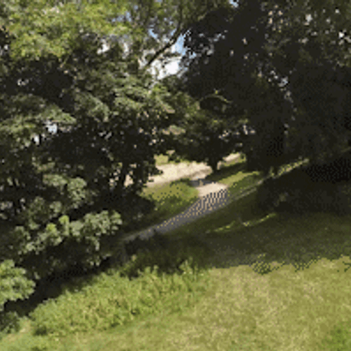 chipko - Sunday Session of all sorts of chill