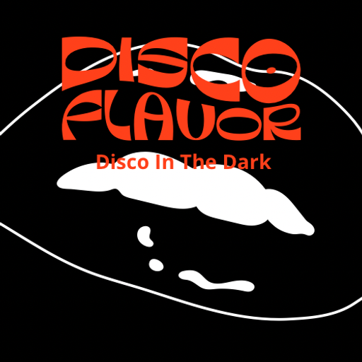 Disco In The Dark