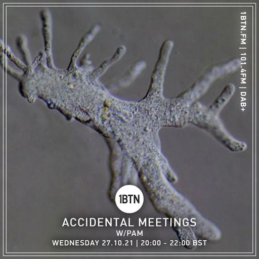 Accidental Meetings - 27.10.2021