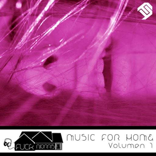 FUCK NORRIS "MUSIC FOR HOME VOL.1"