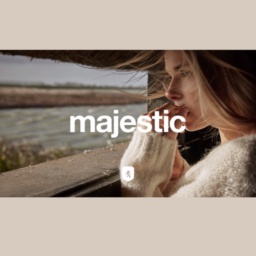 Majestic Casual - 2 hours of Classics vol 2. (mixed by S.o.a.P.)