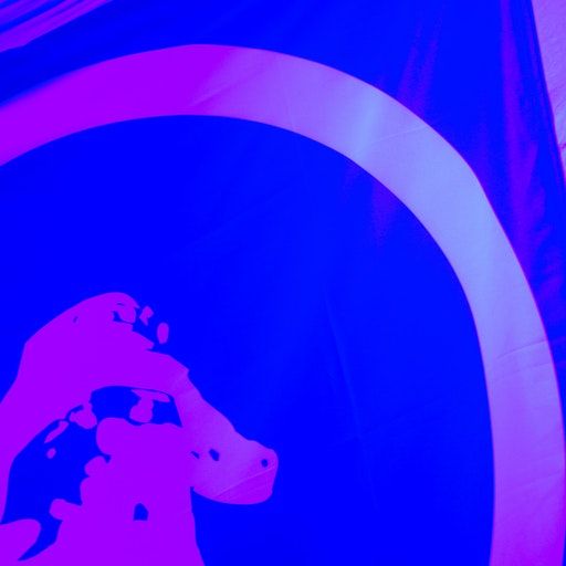 Interdimensional Transmissions – Suburban Knight