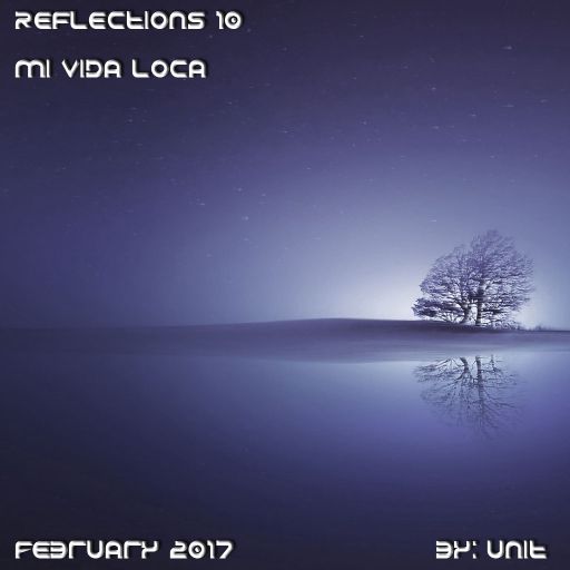 Reflections 10 February 2017